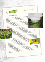 Within the Irish Cottage booklet ~ Complied by Katharine & Mars Bar Buns Recipe