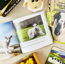 Load image into Gallery viewer, The September 2023 Irish Sheep MyIrelandBox
