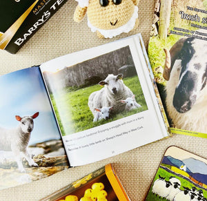 The September 2023 Irish Sheep MyIrelandBox