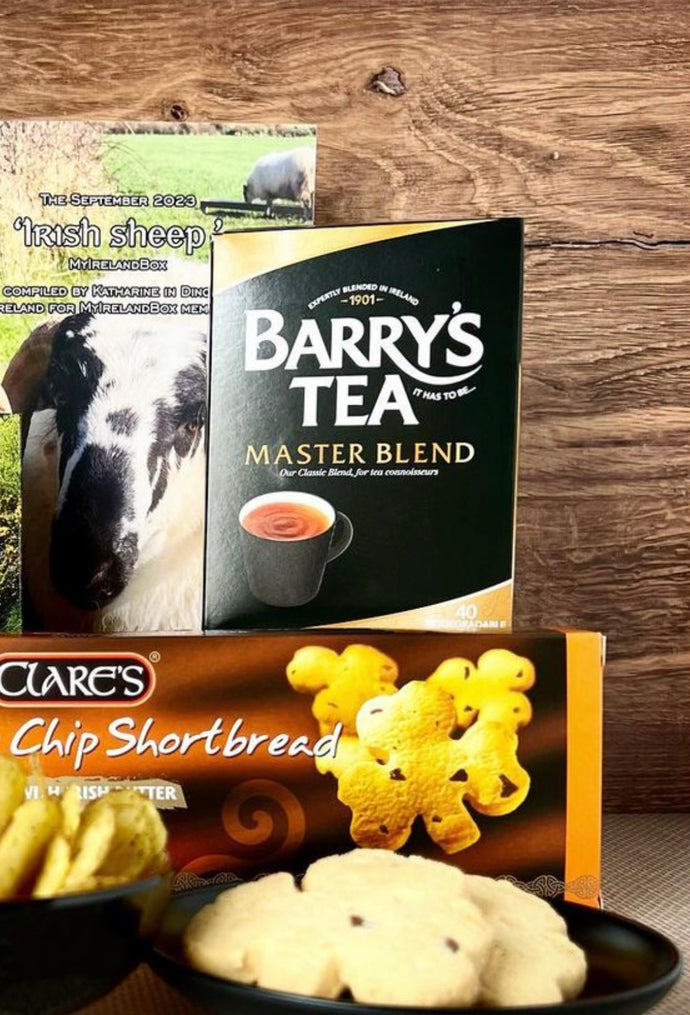 Barry's Tea Master Blend Tea Bags