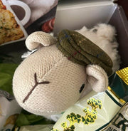 Micín, the sheep