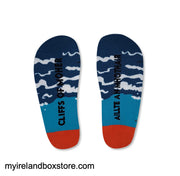 Irish Society Cliffs of Moher Socks