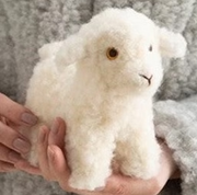 The Adorable Baby Lamb.