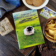 Home ~ Baile (Gift Box)