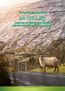 An Nollaig booklet ~ Complied by Katharine & 2 Secret Family Recipes