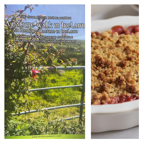 A nature walk in Ireland ~ Complied by Katharine & a Rhubarb Crumble Recipe