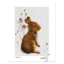 Load image into Gallery viewer, Bunny from Ireland