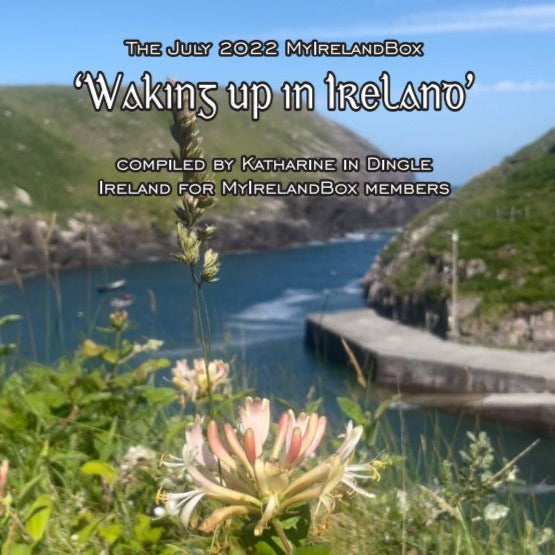 The July ‘Waking up in Ireland’ booklet